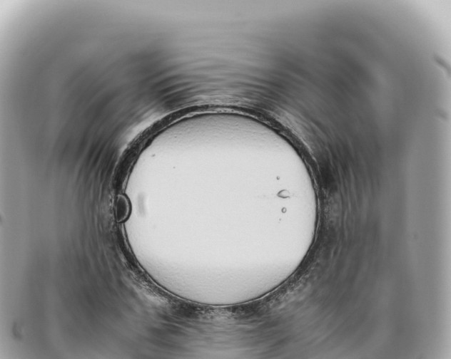 X0000095890971200801251158