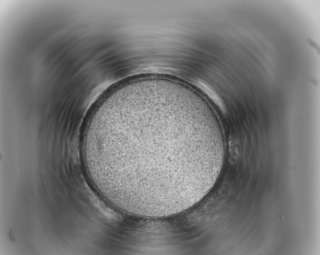 X0000095890972200801251158