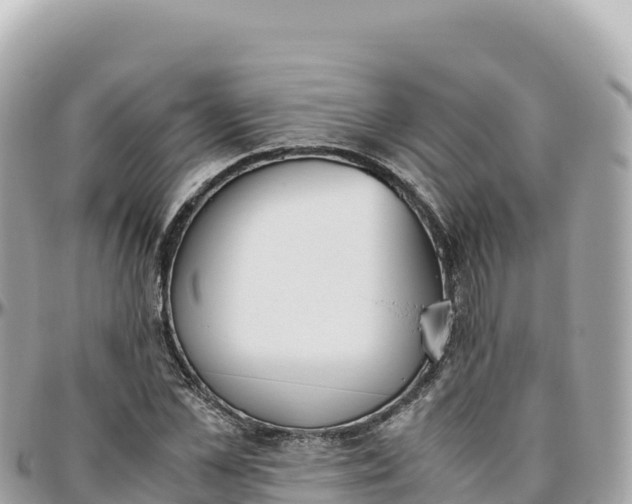 X0000095890973200801251158