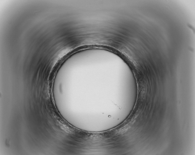 X0000095890974200801251158