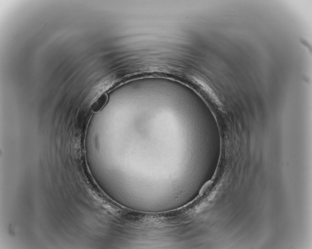 X0000095890977200801251158