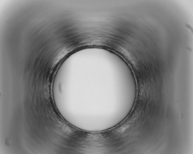 X0000095890978200801251158
