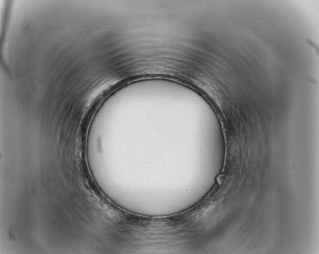 X0000095890979200801251158
