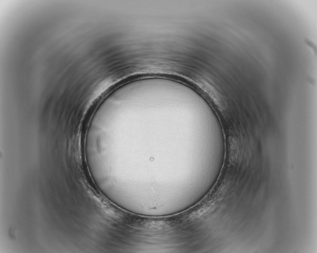 X0000095890982200801251158