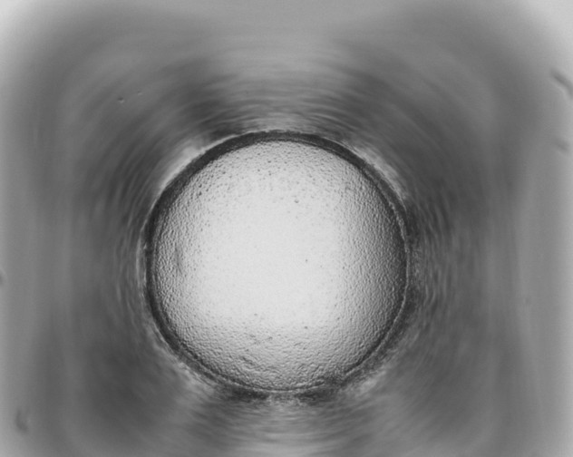 X0000095890983200801251158