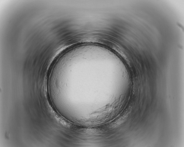X0000095890984200801251158