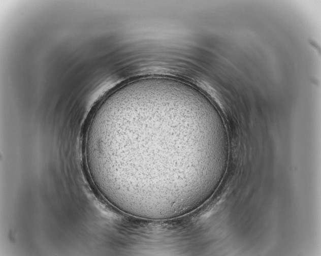 X0000095890987200801251158