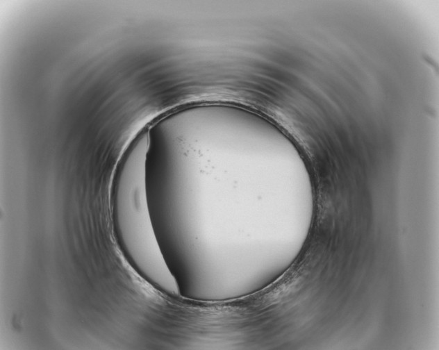 X0000095890988200801251158