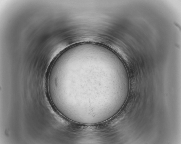 X0000095890991200801251158