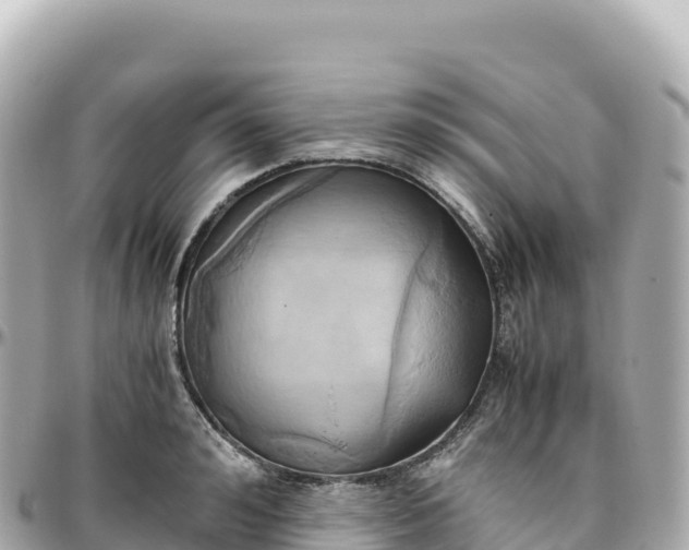 X0000095890992200801251158