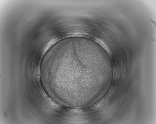 X0000095890994200801251158