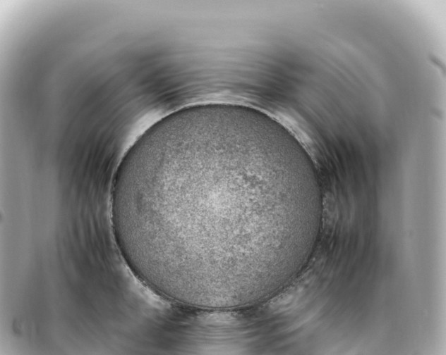 X0000095890998200801251158