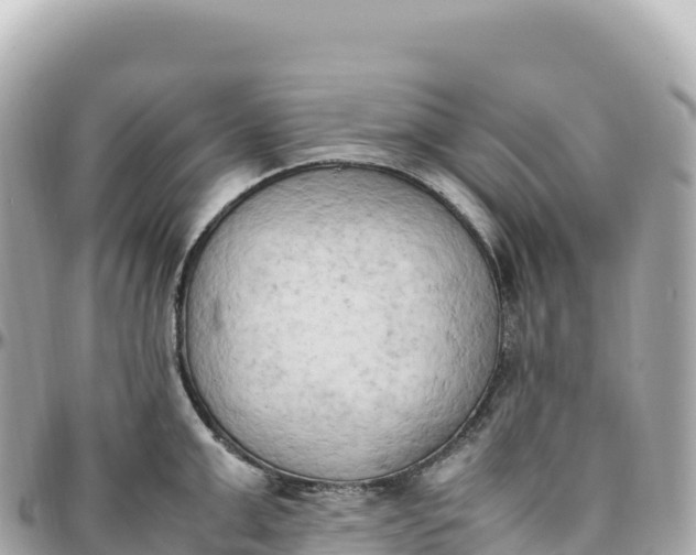 X0000095890999200801251158