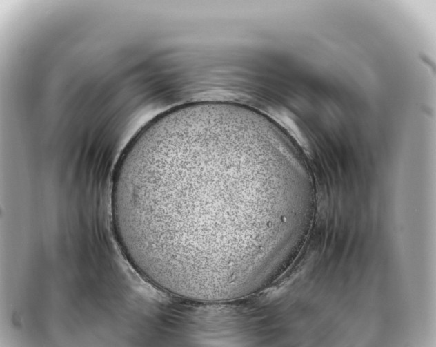 X0000095891000200801251158