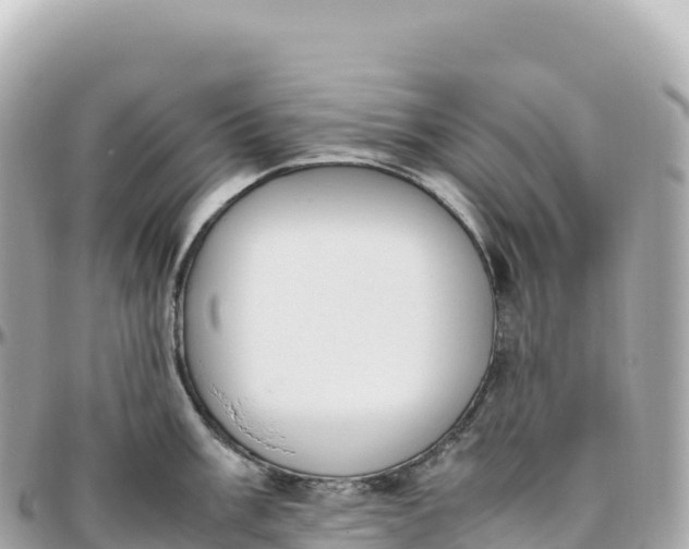 X0000095891003200801251158