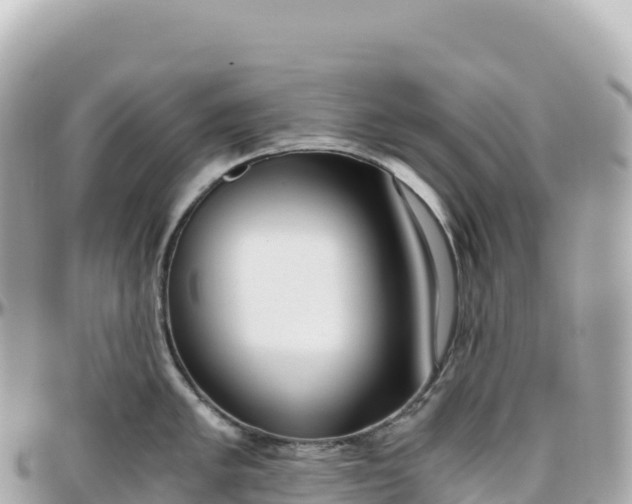 X0000095891005200801251158