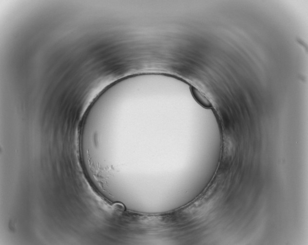 X0000095891006200801251158
