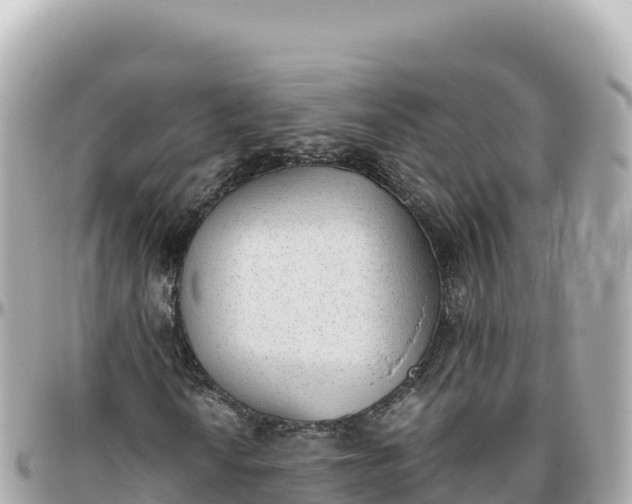 X0000095891010200801251157