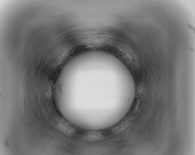 X0000095891012200801251157