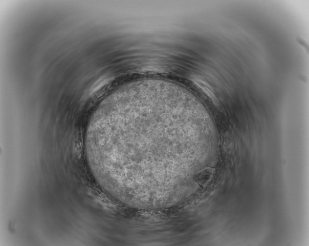 X0000095891015200801251157