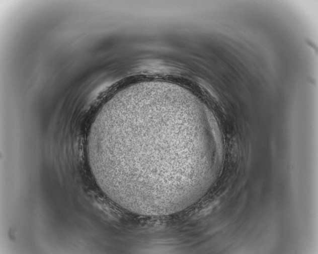 X0000095891016200801251157