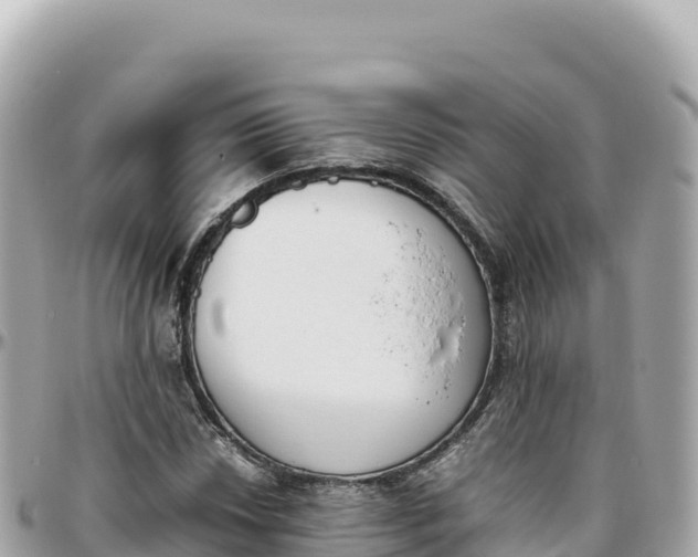 X0000095891018200801251157