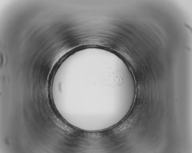 X0000095891020200801251157