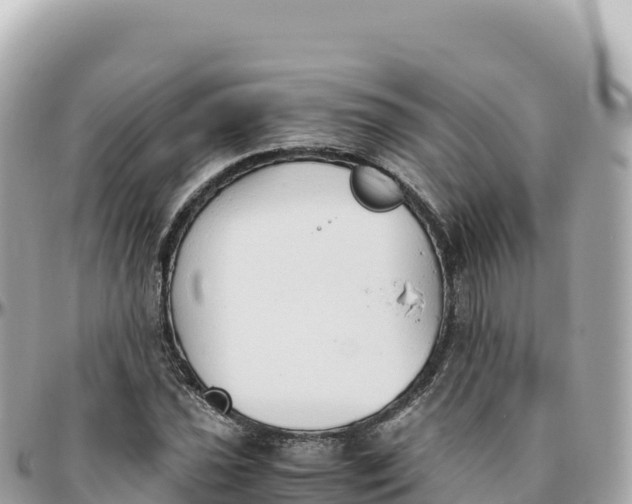 X0000095891021200801251157