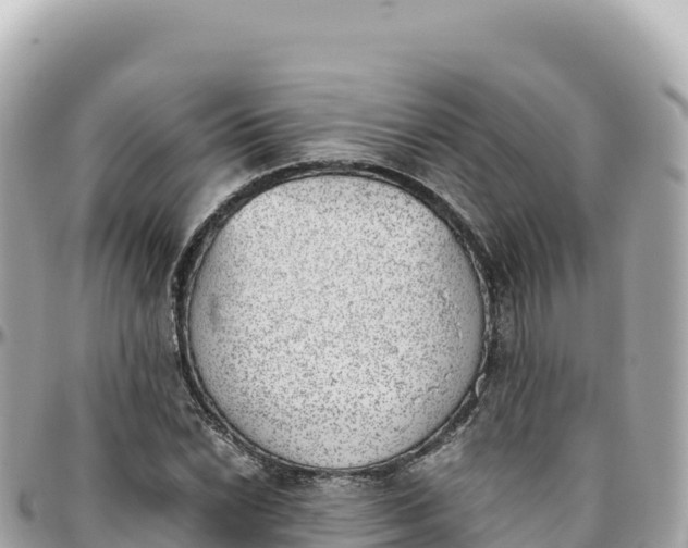 X0000095891022200801251158