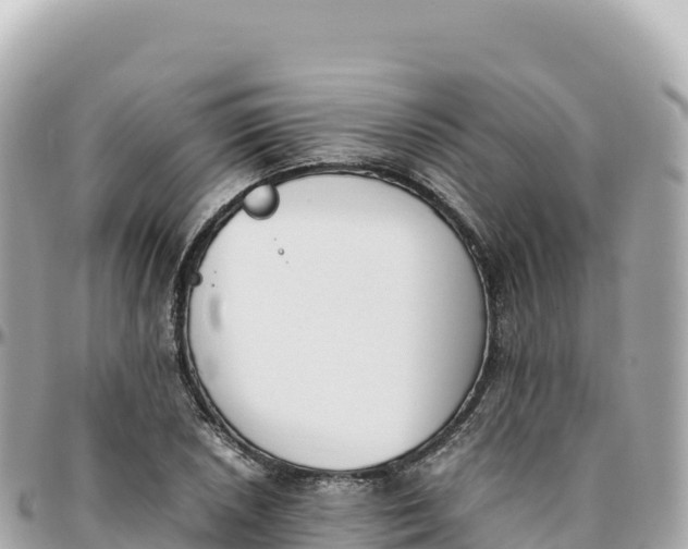 X0000095891026200801251158