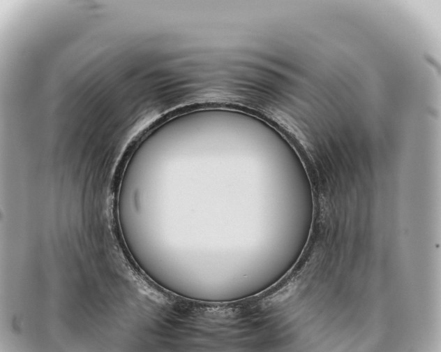 X0000095891029200801251158
