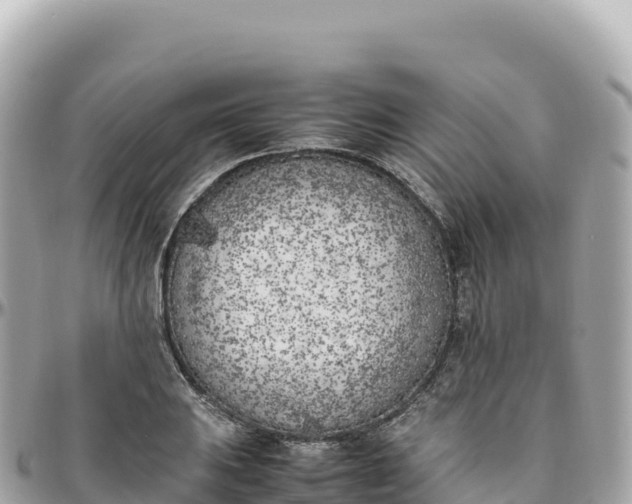 X0000095891031200801251158