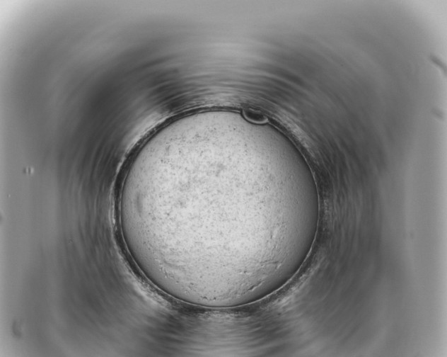 X0000095891034200801251158