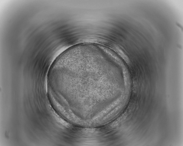 X0000095891036200801251158