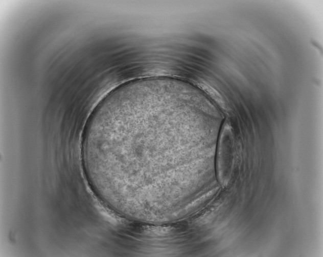 X0000095891039200801251158