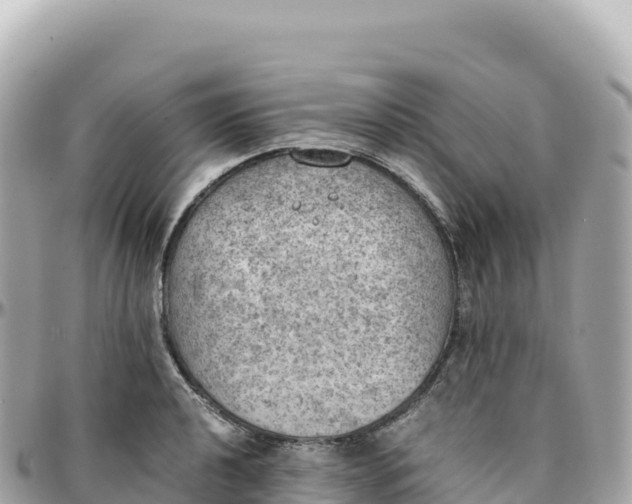 X0000095891040200801251158