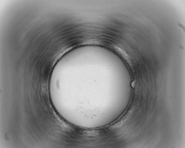 X0000095891041200801251158