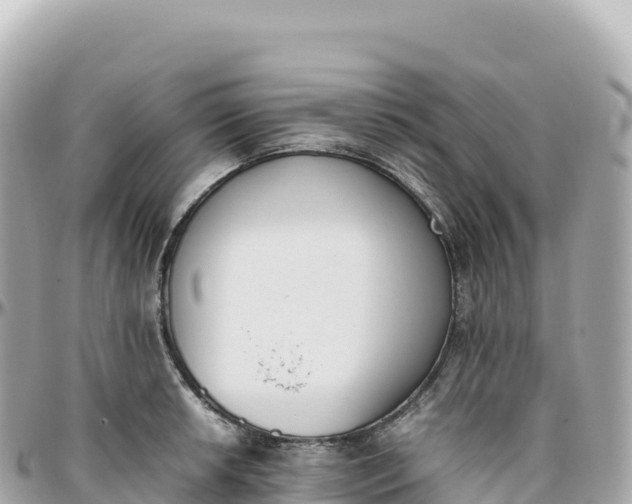 X0000095891042200801251158