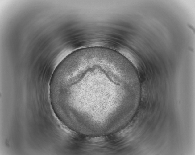 X0000095891047200801251158