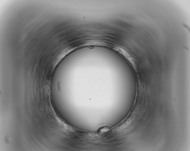 X0000095891049200801251158