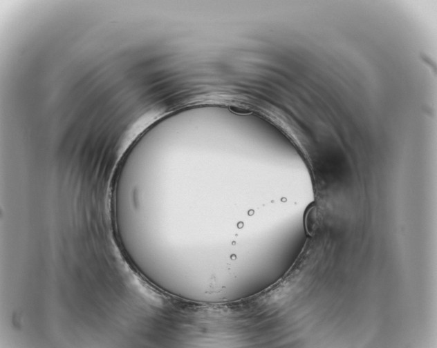 X0000095891050200801251158