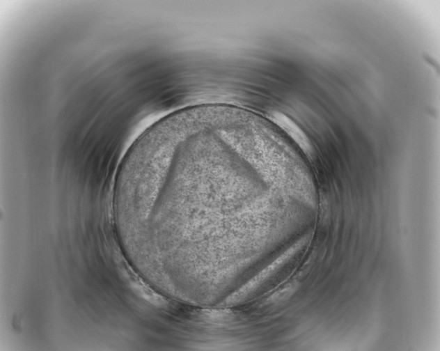 X0000095891052200801251158