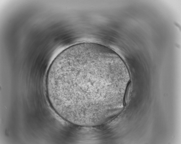 X0000095891056200801251158