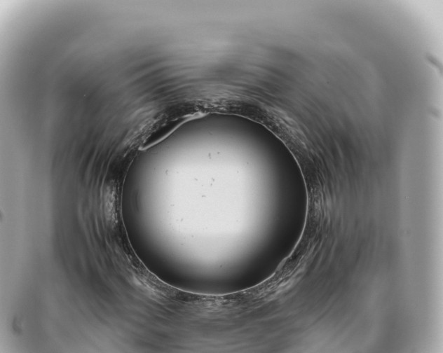 X0000095891060200801251157