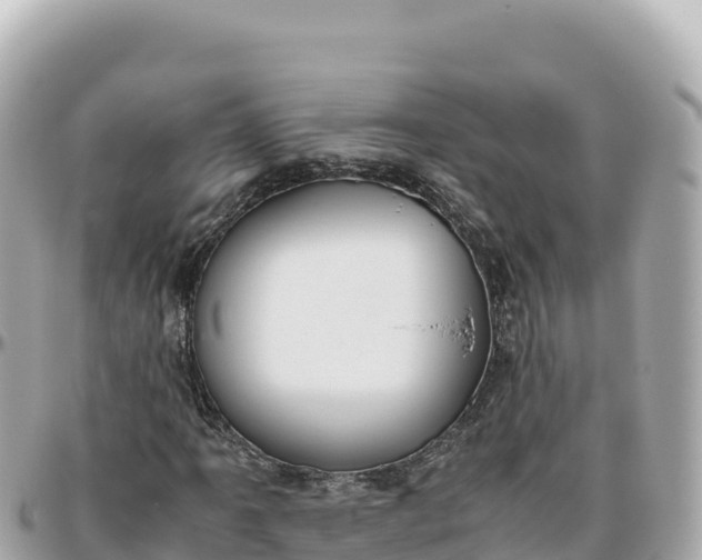 X0000095891061200801251157