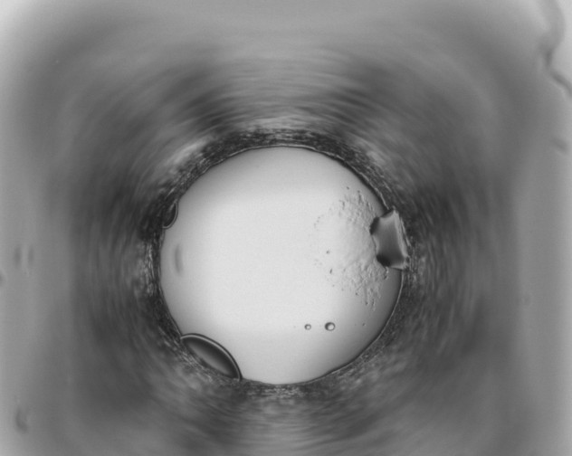 X0000095891062200801251157