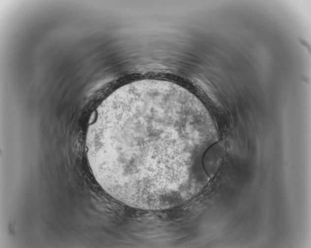 X0000095891063200801251157