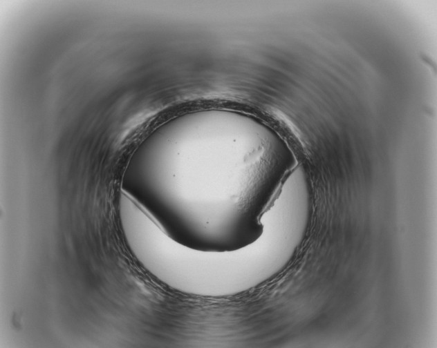 X0000095891064200801251157