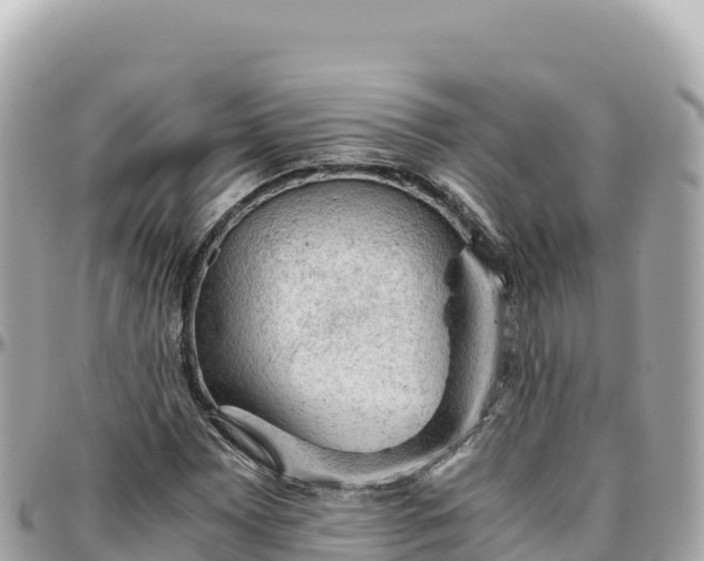 X0000095891065200801251157