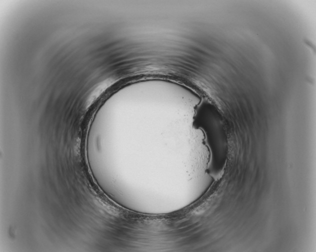 X0000095891066200801251157